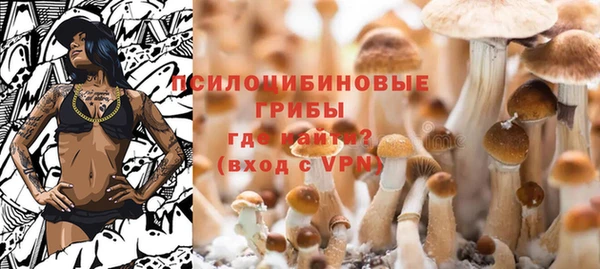 spice Переславль-Залесский