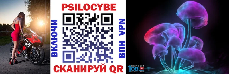 Псилоцибиновые грибы Psilocybe  Купить  Торжок 
